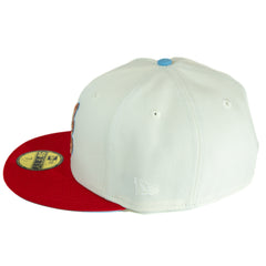 ATLANTA BRAVES 1995 WORLD SERIES NIGHTMARE ON 606.ST RECKONING COLLECTION