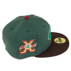 Minnesota Wild 10 Year Anniversary Puck Drop Collection