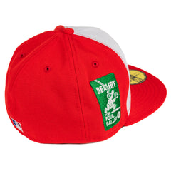 Chicago Cubs Foul Ball Cross Town Collection