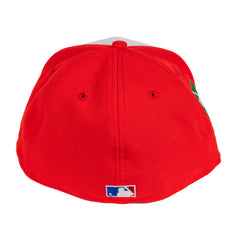 Chicago Cubs Foul Ball Cross Town Collection