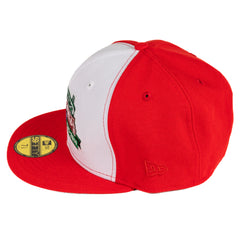 Chicago Cubs Foul Ball Cross Town Collection