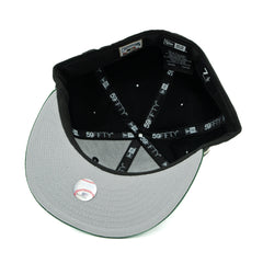 CHICAGO WHITE SOX 1933 ALL-STAR GAME VIVA LA INDEPENDENCIA COLLECTION