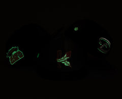 Kinston Indians Apocalypse Collection