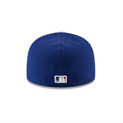 LOS ANGELES DODGERS WORLD SERIES 2024}