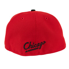 Chicago Blackhawks 2015 Stanley Cup Champions Online Exclusive Hat