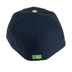 Chicago Cubs 1990 All-Star Game Northern Lights Fitted Hat