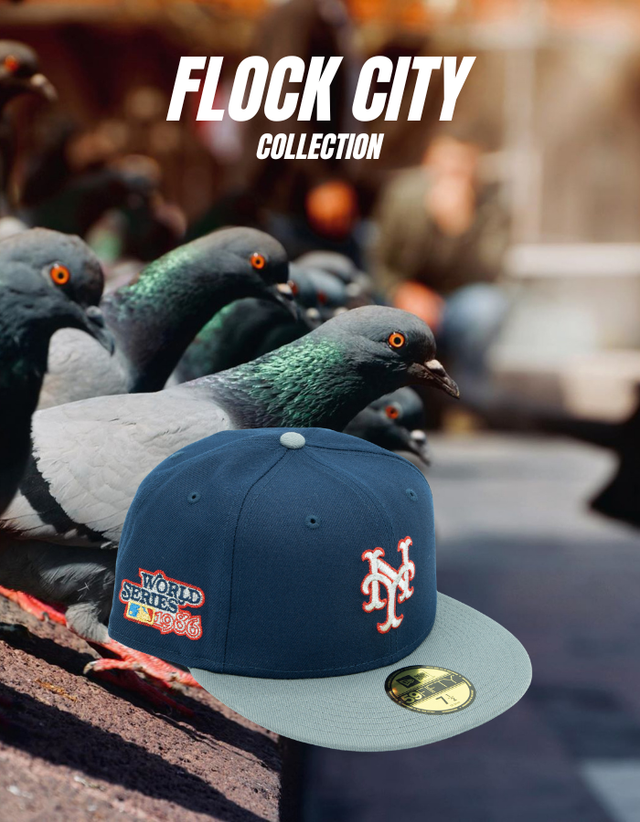 FLOCK CITY SHOCK DROP