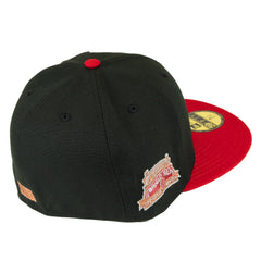 Chicago Cubs 100 Years University Red Collection