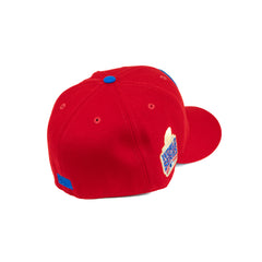 Chicago Cubs 2016  World Series Exclusive Drop