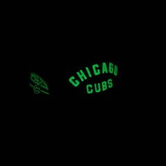 Chicago Cubs Wrigley Field Online Exclusive Hat