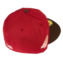 Huston Astro Astrodome The Original Industry Collection Fitted Hat