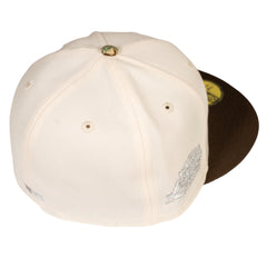 Houston Astros Astrodome The Original Online Exclusive Fitted Hat