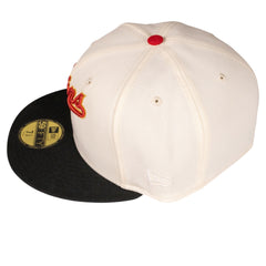 Minnesota Twins HHH Metrodome Fitted Hat