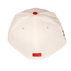 Minnesota Twins HHH Metrodome Fitted Hat
