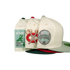 Chicago Cubs Foul Ball Dinero Pack Fitted Hat