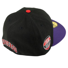 Chicago Bulls - Bulls Ball Chicago Fitted Hat