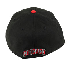 Chicago Bulls - Bulls Ball Chicago Fitted Hat