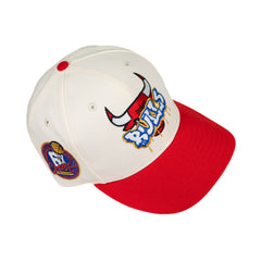 Chicago Bulls 6X Champs Online Exclusive